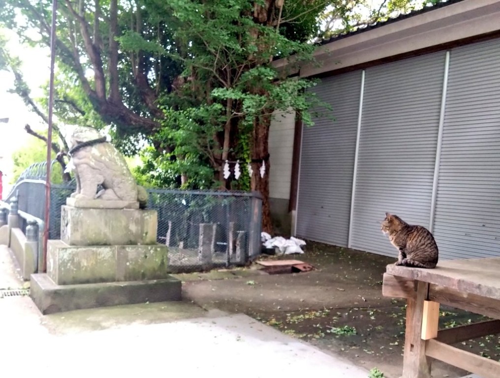三崎の町並みを歩く風景